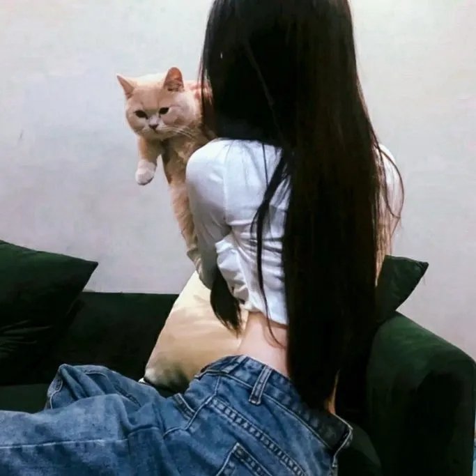 我家的英雄