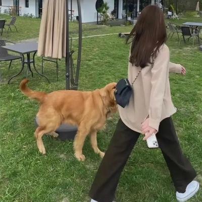 芳心全蚀