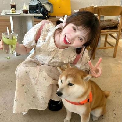 百变狸猫国语